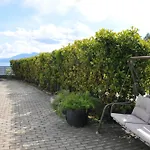 Cozy In Faros, Raches