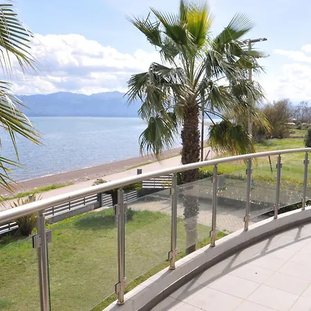 Cozy In Faros, Raches