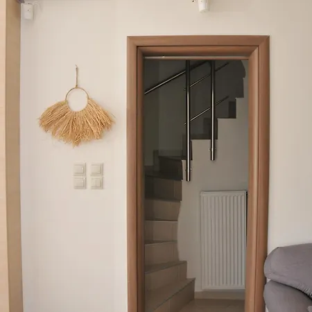 Cozy In Faros, Raches