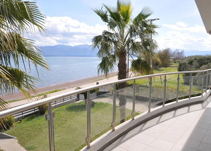 Cozy In Faros, Raches