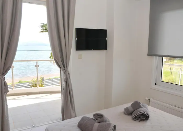 Cozy In Faros, Raches